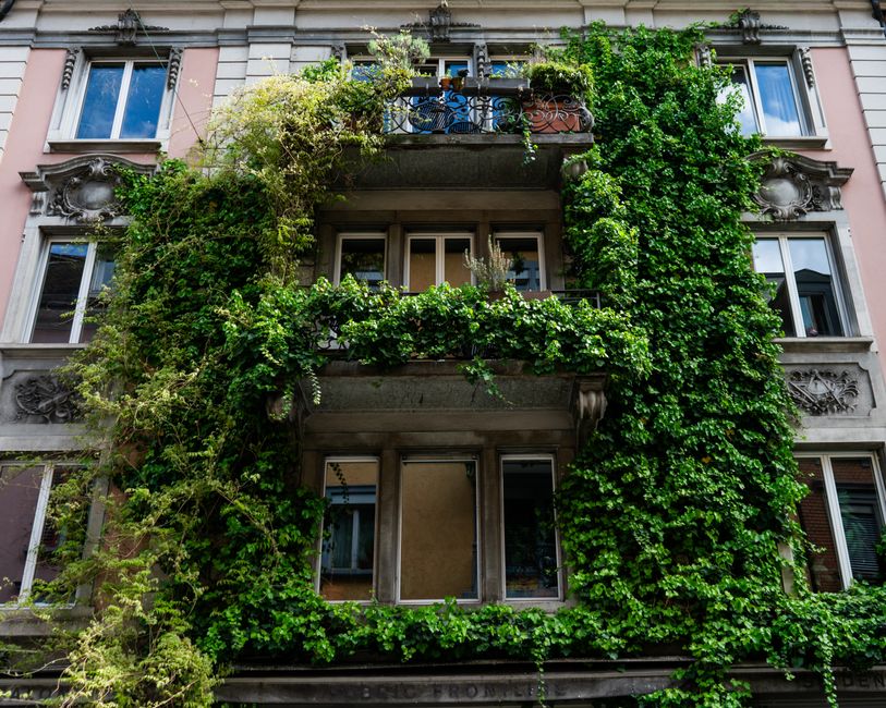 Termoizolacija fasade, Čepin